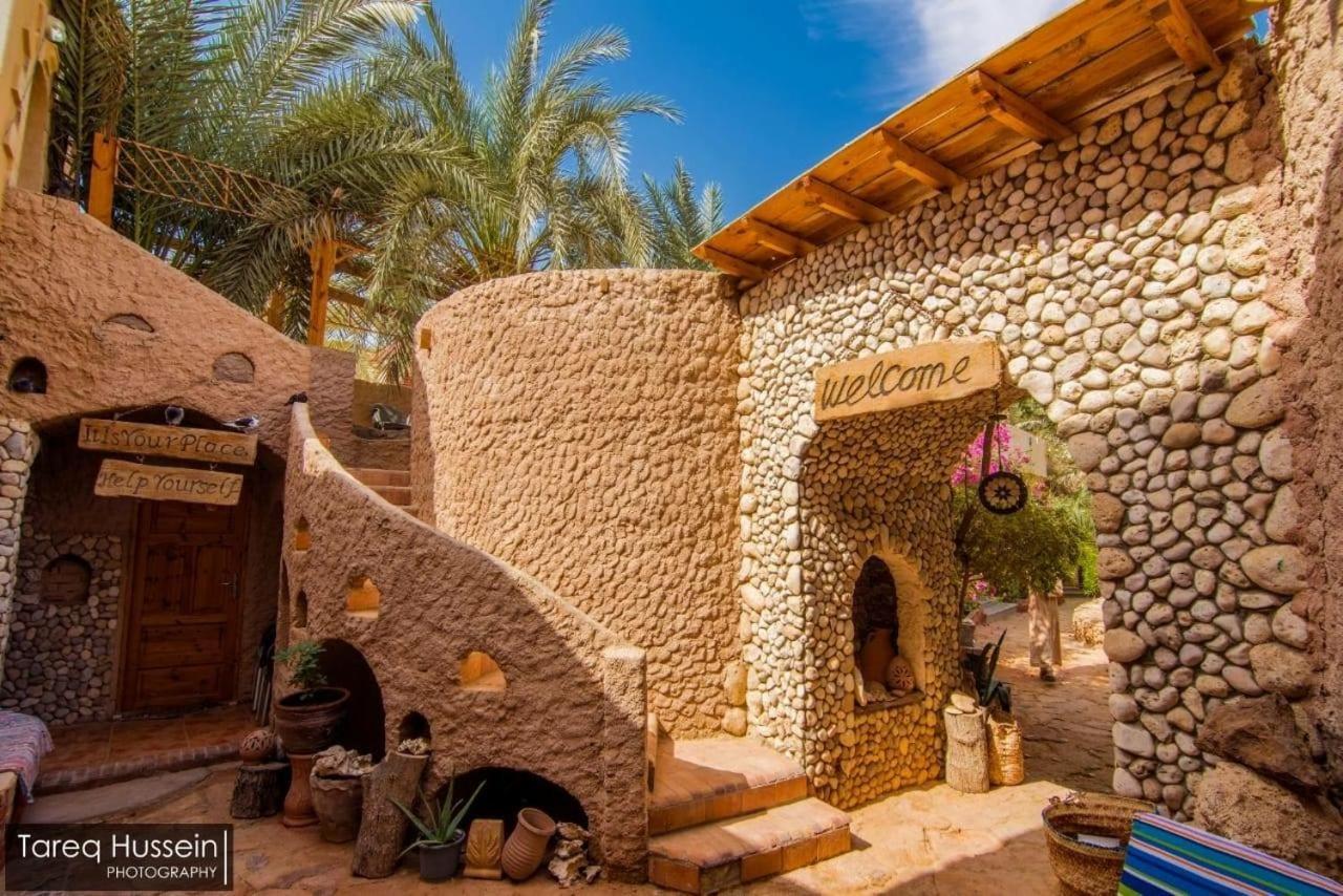Dream Lodge Siwa 시와오아시스 외부 사진