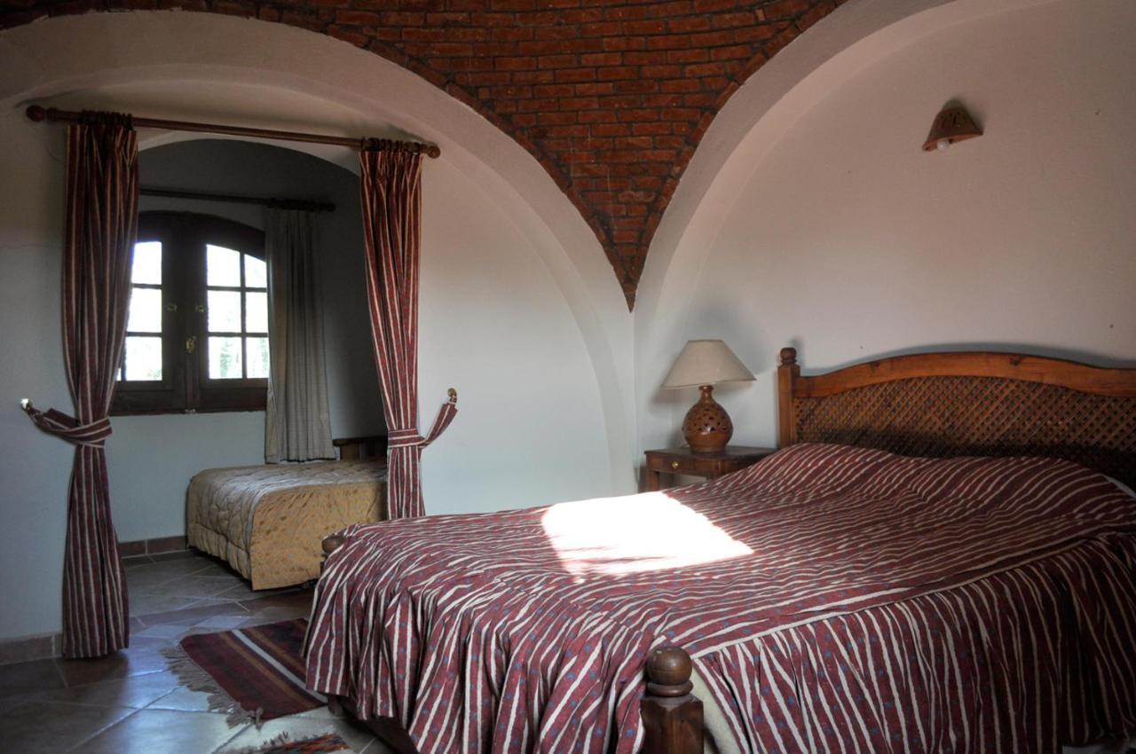 Dream Lodge Siwa 시와오아시스 외부 사진