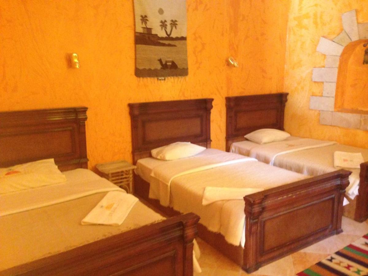 Dream Lodge Siwa 시와오아시스 외부 사진