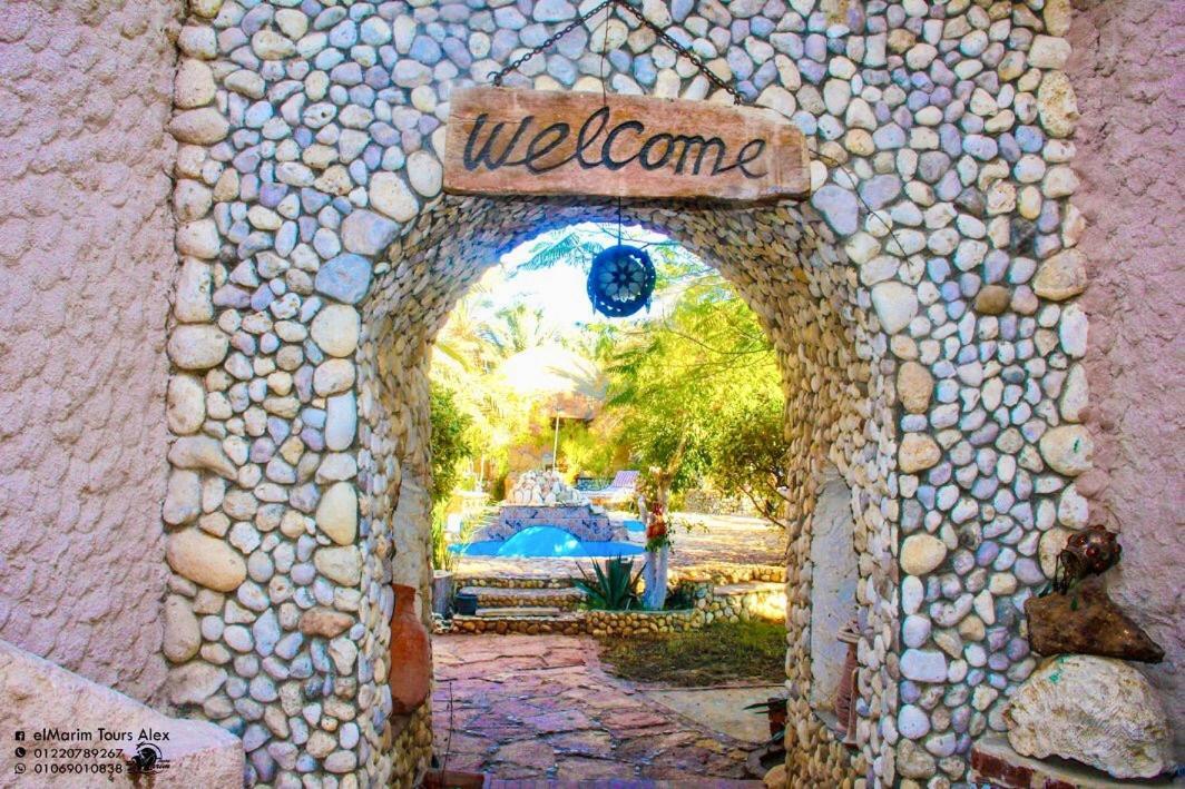 Dream Lodge Siwa 시와오아시스 외부 사진