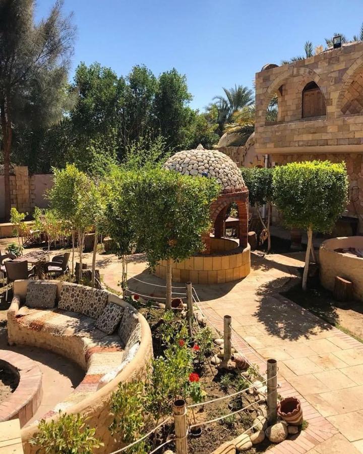 Dream Lodge Siwa 시와오아시스 외부 사진