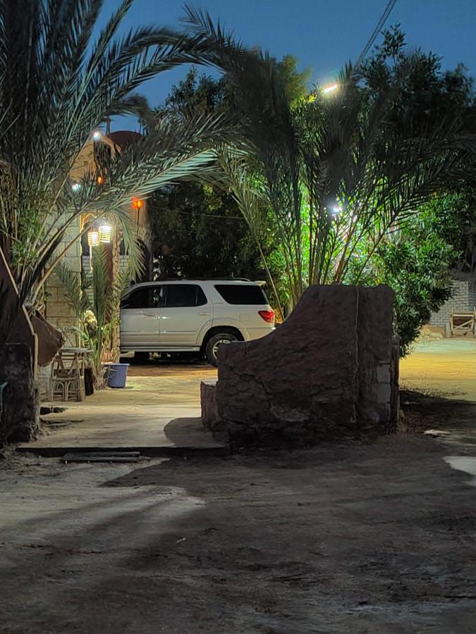 Dream Lodge Siwa 시와오아시스 외부 사진