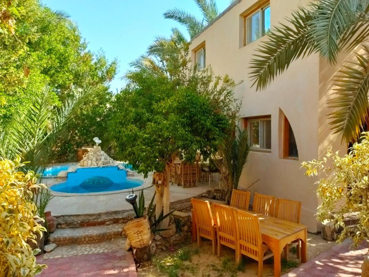 Dream Lodge Siwa 시와오아시스 외부 사진