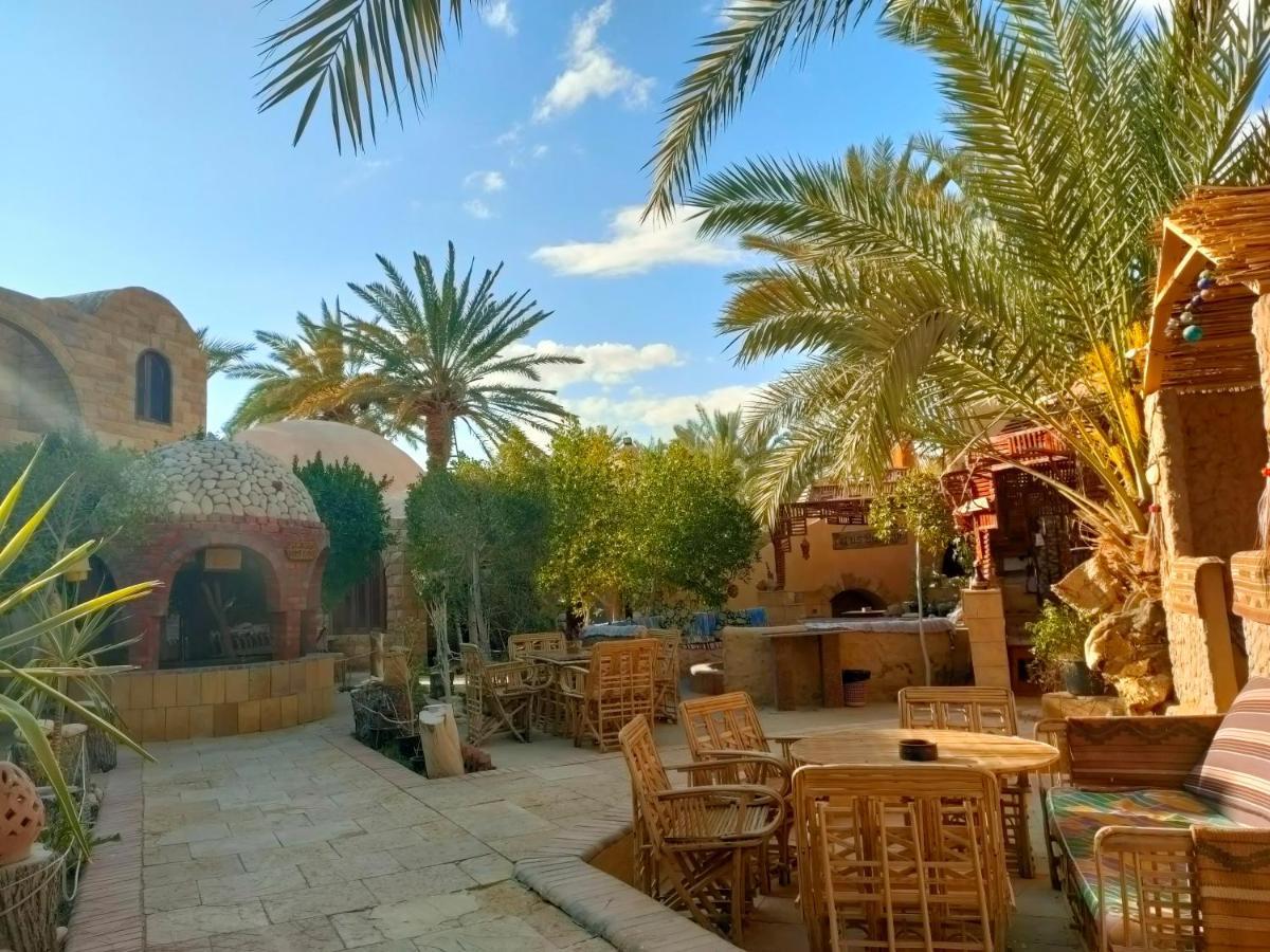 Dream Lodge Siwa 시와오아시스 외부 사진