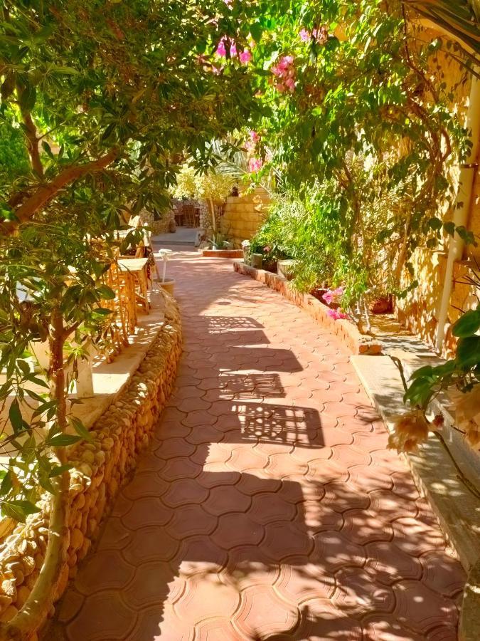 Dream Lodge Siwa 시와오아시스 외부 사진