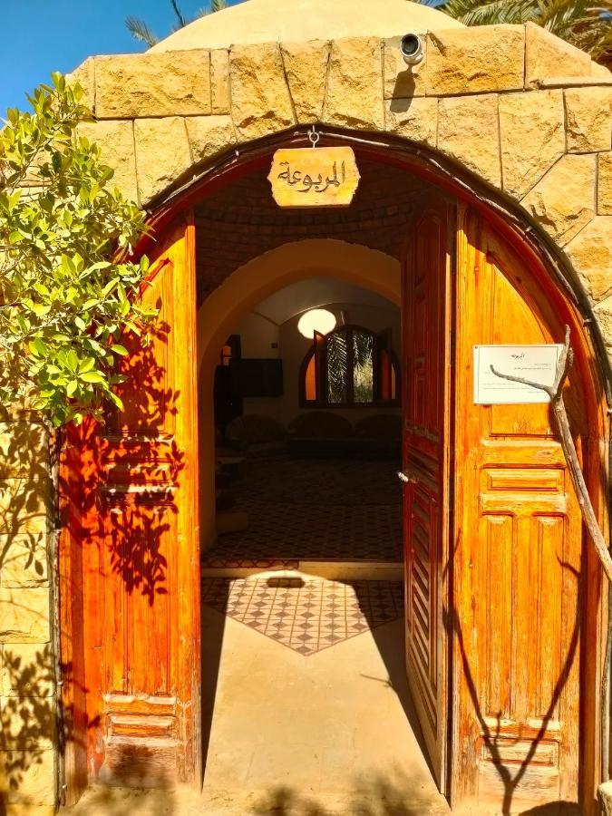 Dream Lodge Siwa 시와오아시스 외부 사진