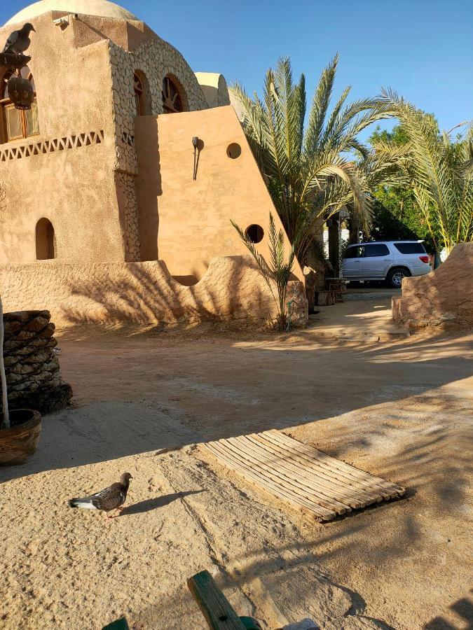 Dream Lodge Siwa 시와오아시스 외부 사진