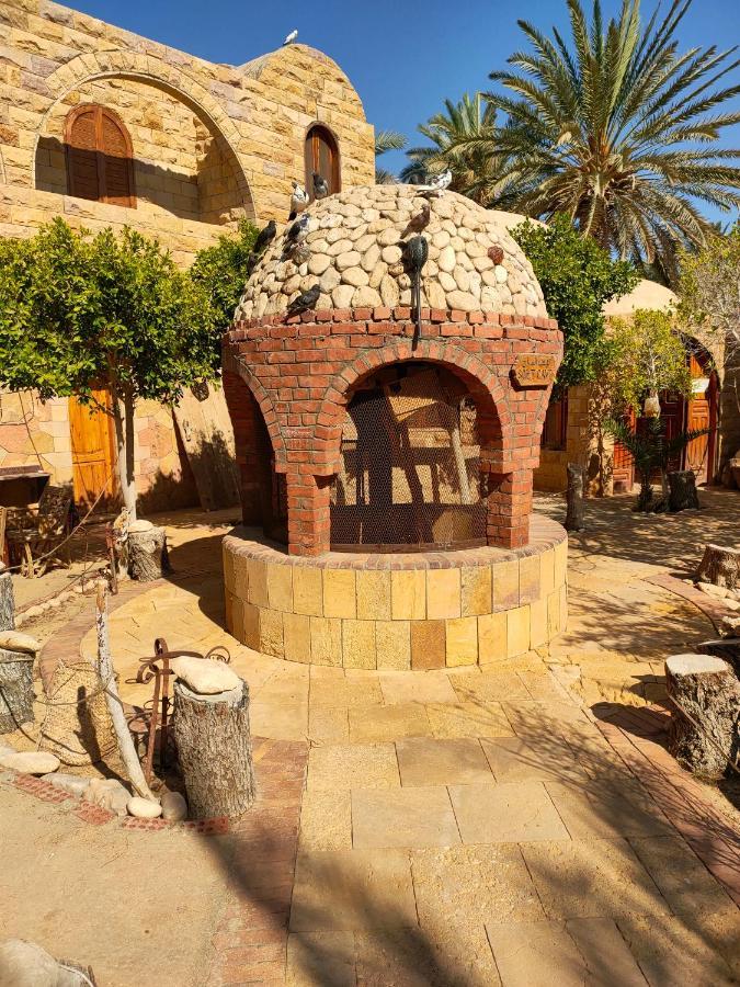 Dream Lodge Siwa 시와오아시스 외부 사진