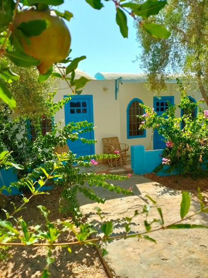 Dream Lodge Siwa 시와오아시스 외부 사진