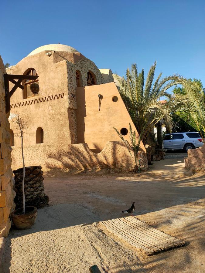 Dream Lodge Siwa 시와오아시스 외부 사진