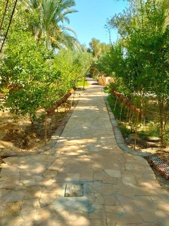 Dream Lodge Siwa 시와오아시스 외부 사진