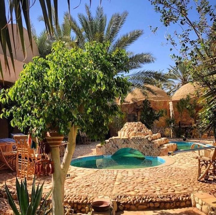 Dream Lodge Siwa 시와오아시스 외부 사진