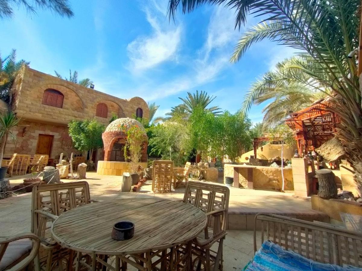 Dream Lodge Siwa 시와오아시스 외부 사진