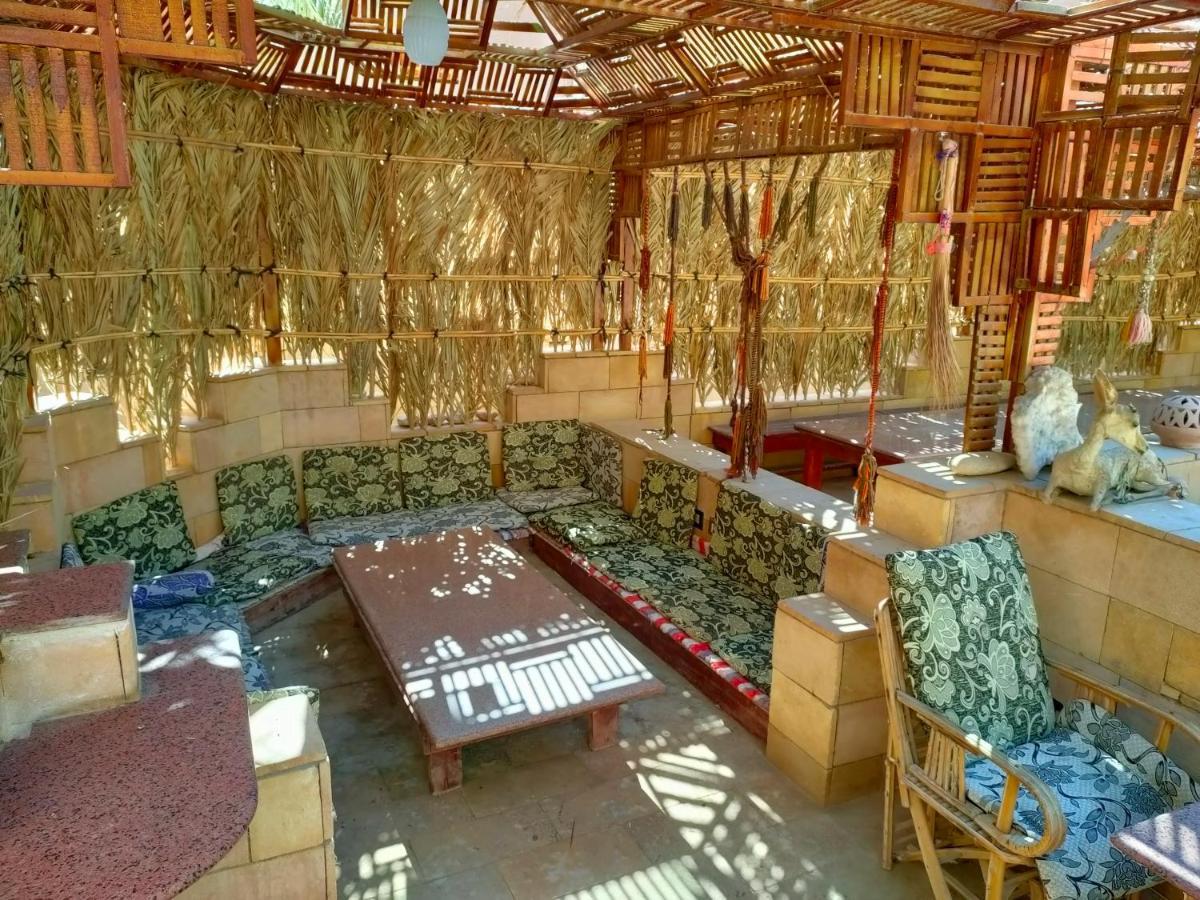 Dream Lodge Siwa 시와오아시스 외부 사진