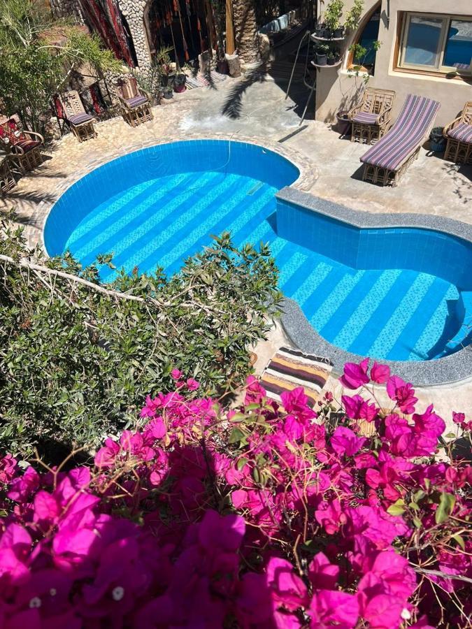 Dream Lodge Siwa 시와오아시스 외부 사진