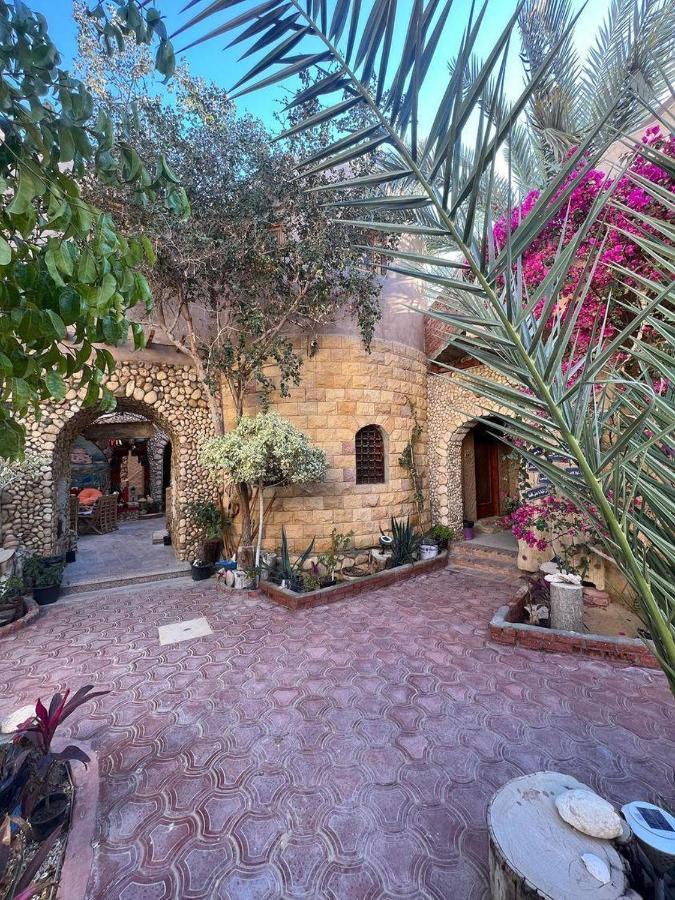 Dream Lodge Siwa 시와오아시스 외부 사진