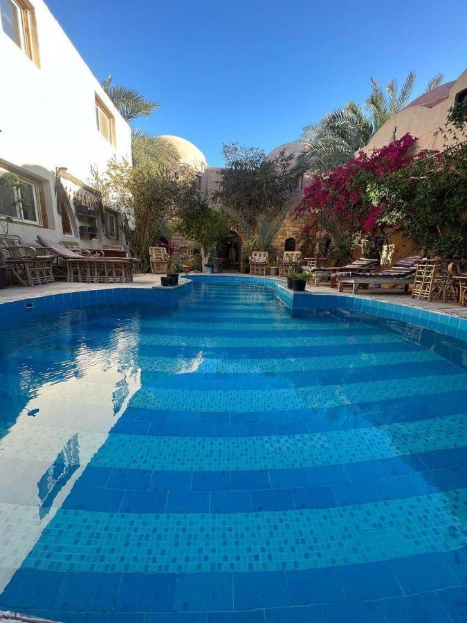 Dream Lodge Siwa 시와오아시스 외부 사진