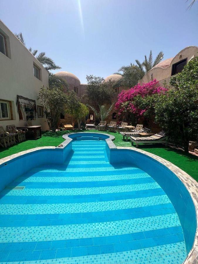Dream Lodge Siwa 시와오아시스 외부 사진